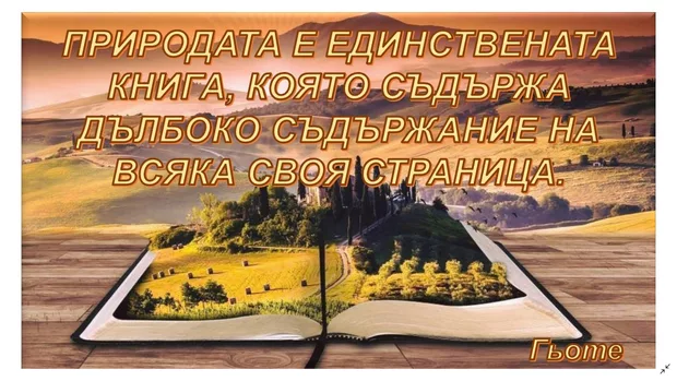 Екранна снимка от форума