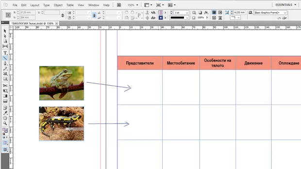 Екранна снимка към: Как мога да вкарам снимки в отделни клетки на таблицата