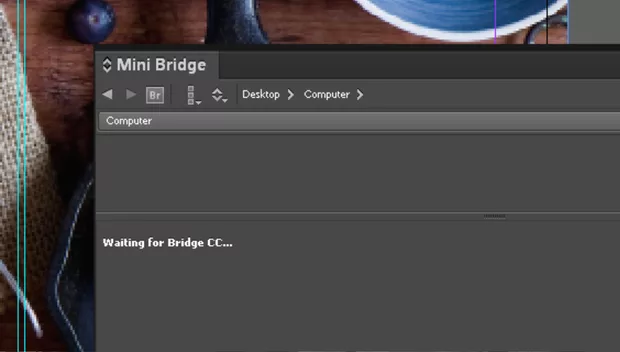 Екранна снимка към: Защо не зарежда Mini Bridge?