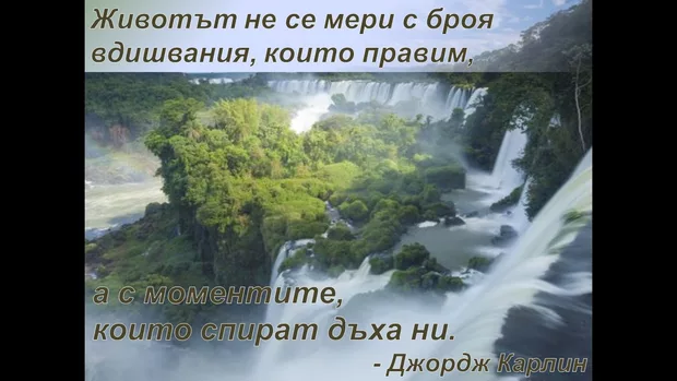 Екранна снимка към: Кой е моят цитат?