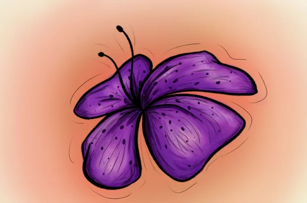 Екранна снимка към: Как се е получило?