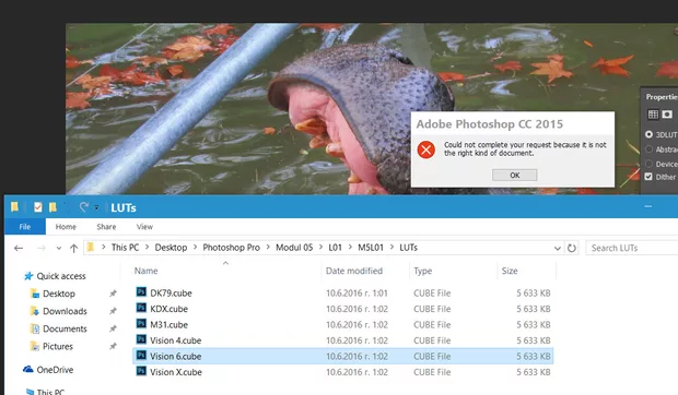 Екранна снимка към: Защо не мога да ползвам LUT от свалените към урока?<br>