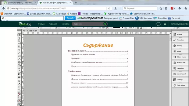 Екранна снимка към: Защо трием съдържанието,а после какво поставяме в Table of Contents?<br>