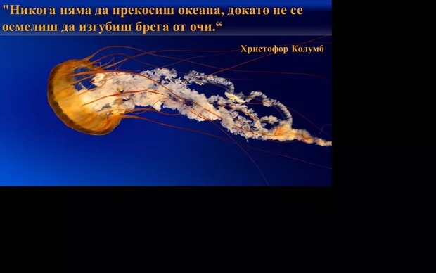 Екранна снимка от форума