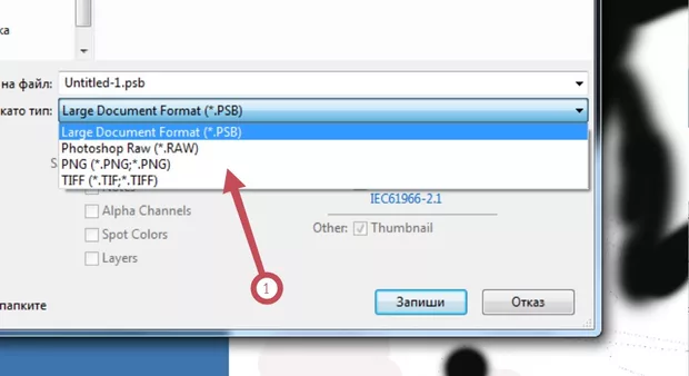 Екранна снимка към: Защо нямам разширение .jpg?