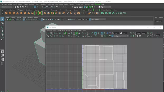 Екранна снимка към: Защо UV Editor?