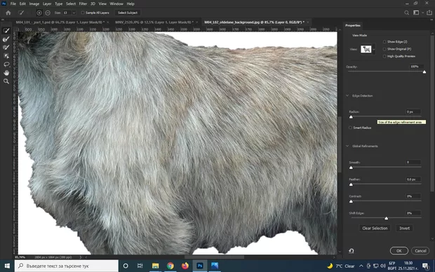 Екранна снимка към: Защо нямам бутон Refine Edge?