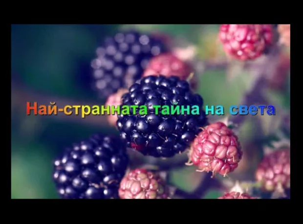 Екранна снимка от форума