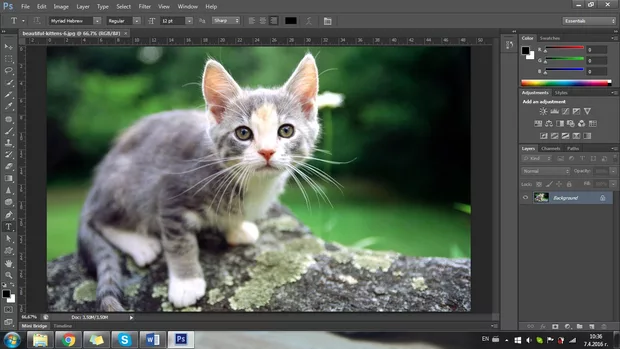 Екранна снимка към: Как може да се направи селекция на обект, при който няма добър контраст с фона и има прозиращи елементи?