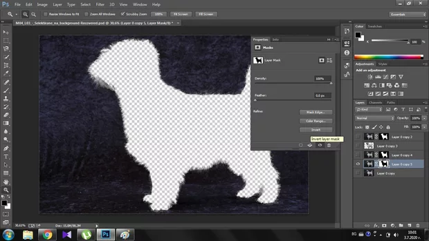 Екранна снимка към: Как да приложа успешно маската, така че да я виждам в черо и бяло?