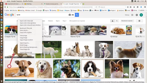 Екранна снимка към: Как се запазва изображение от Google изображения