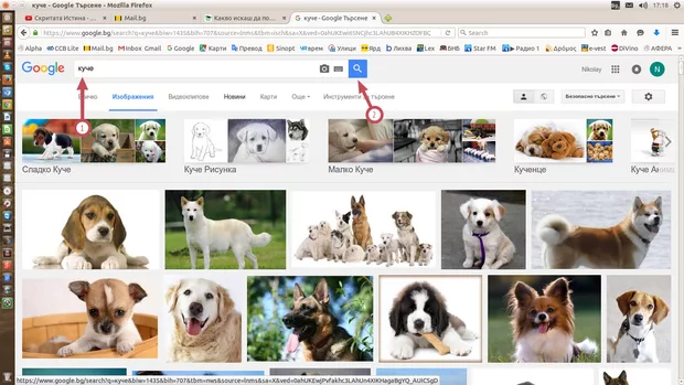 Екранна снимка към: Как се запазва изображение от Google изображения