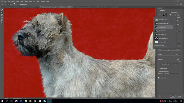 Екранна снимка към: Как трябва да работя с Refine edge  във Фотошоп СС 2017?