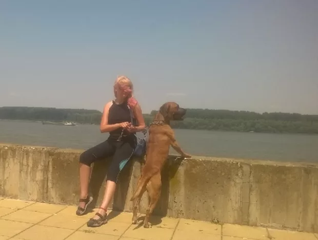 Екранна снимка към: Може ли да споделя