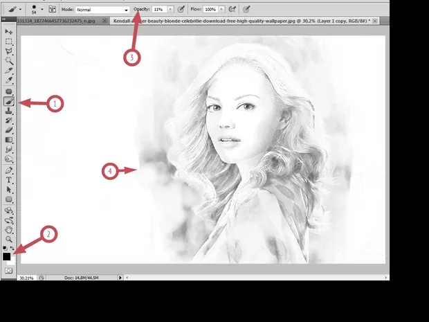 Екранна снимка към: Photoshop:Превръщане на цветна фотография в черно-бяла рисунка .