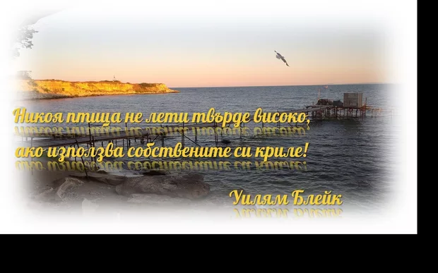 Екранна снимка от форума