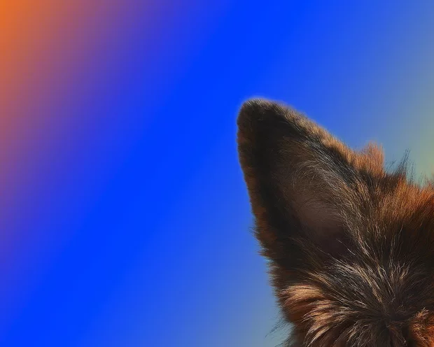 Екранна снимка към: Може ли да споделя моите варианти...?