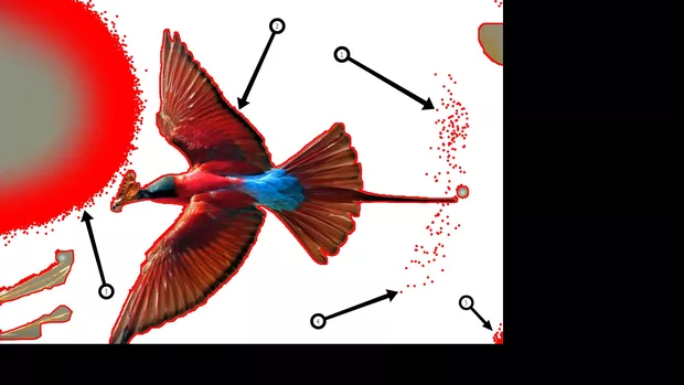 Екранна снимка към: Как да виждаме колко добре е изрязана картинката ни?