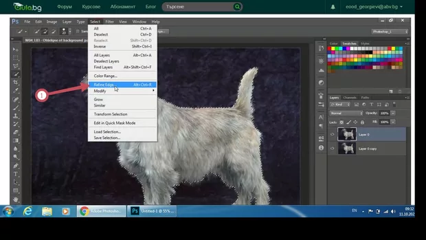 Екранна снимка от форума