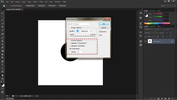 Екранна снимка към: Каква е разликата при запазване в различните Format Options?<br>