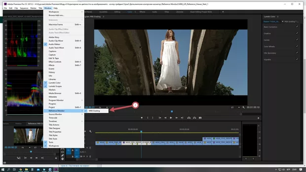 Екранна снимка към: Как да превключа в режим Reference Monitor?