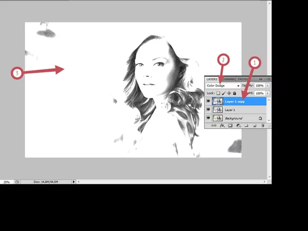 Екранна снимка към: Photoshop:Превръщане на цветна фотография в черно-бяла рисунка .