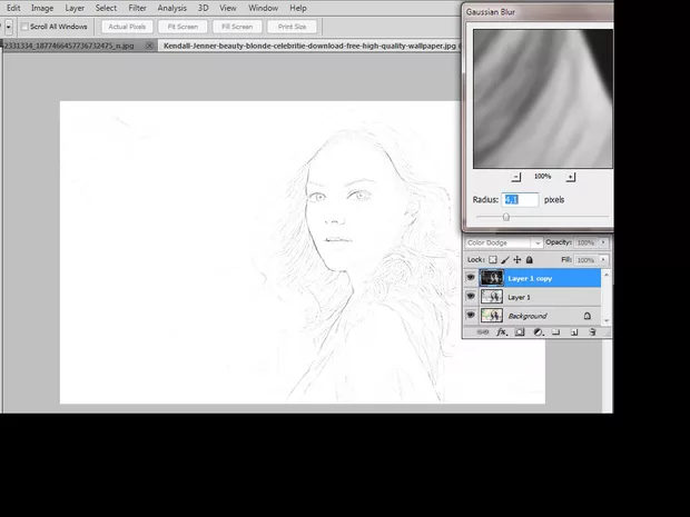 Екранна снимка към: Photoshop:Превръщане на цветна фотография в черно-бяла рисунка .