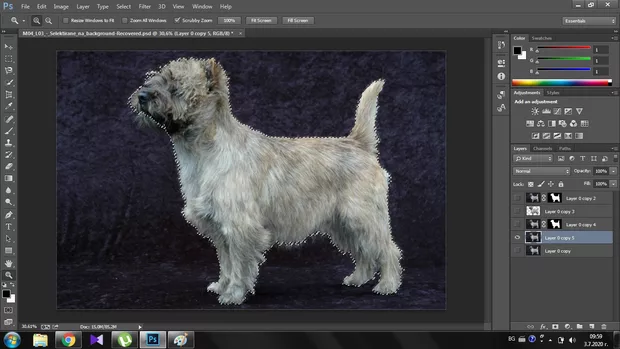 Екранна снимка към: Как да приложа успешно маската, така че да я виждам в черо и бяло?