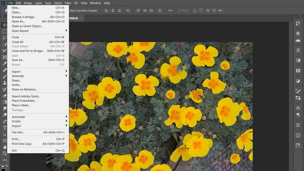 Екранна снимка към: Може ли помощ с Bridge функцията при Photoshop 22.3.0 ?&nbsp;