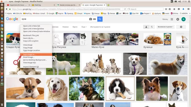 Екранна снимка към: Как се запазва изображение от Google изображения