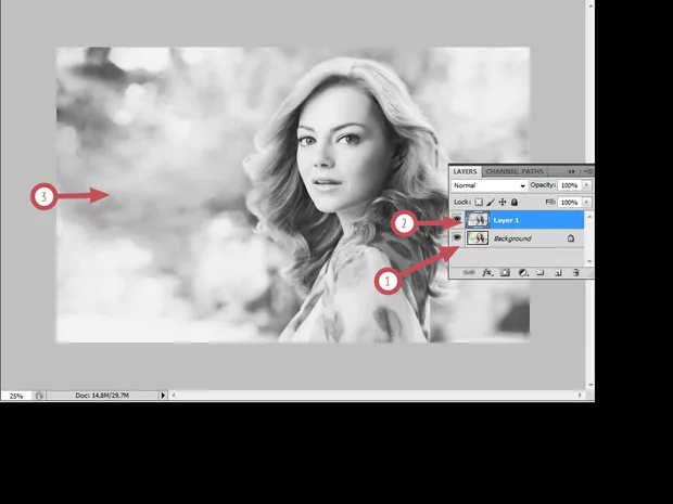 Екранна снимка към: Photoshop:Превръщане на цветна фотография в черно-бяла рисунка .