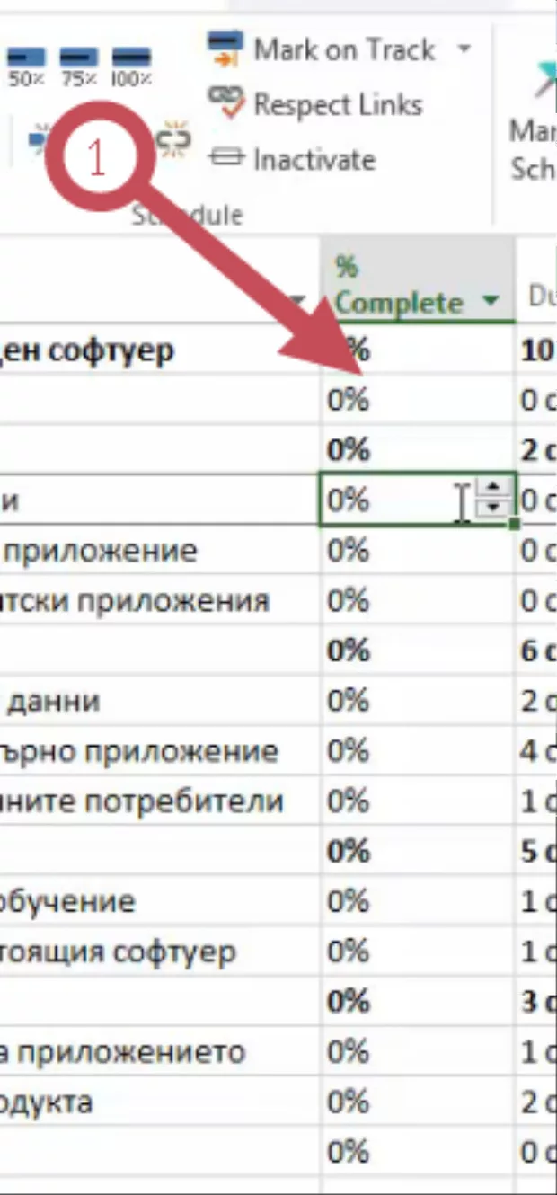 Екранна снимка към: Какъв е начина за избор на проценти в MS Project?<br>