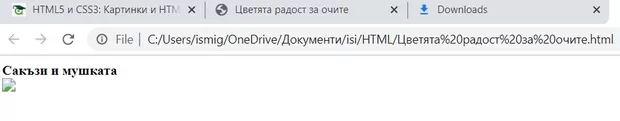 Екранна снимка към: Защо не ми се визуализира снимката?