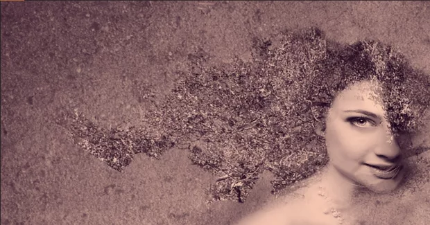 Екранна снимка към: Как Ви се струва?