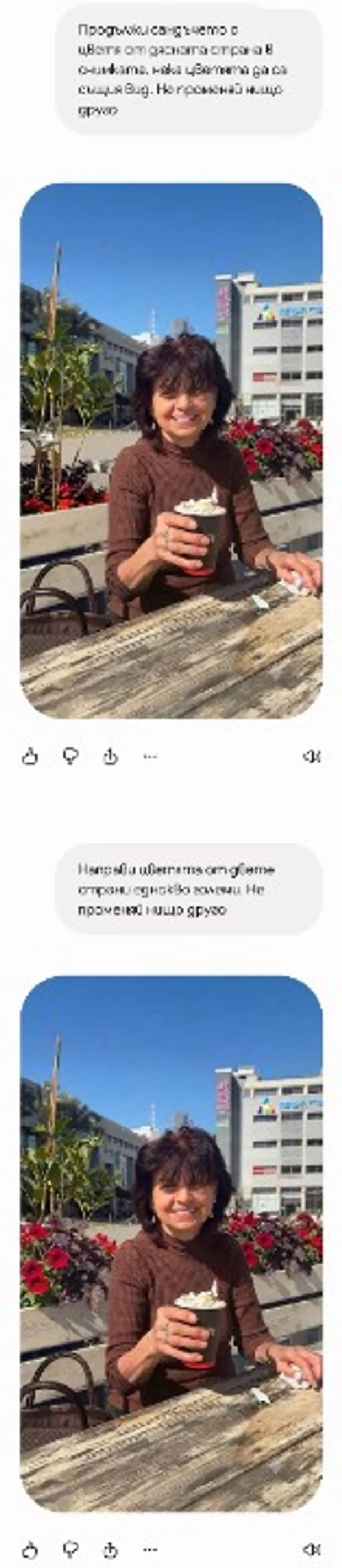 Екранна снимка към: Корекция на снимка с Gemini
