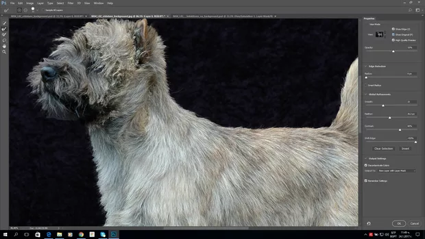 Екранна снимка към: Как трябва да работя с Refine edge  във Фотошоп СС 2017?