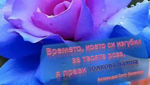 Екранна снимка към: Може ли да споделя и аз един цитат?