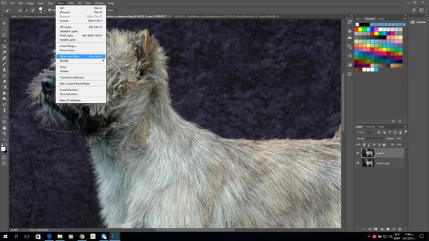 Екранна снимка към: Как трябва да работя с Refine edge  във Фотошоп СС 2017?