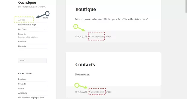 Екранна снимка към: Защо, когато добавих новата страница "Магазин" /boutique/ под нея ми излиза текст Uncategorized,&nbsp;