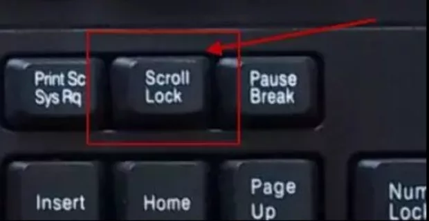 Екранна снимка от форума