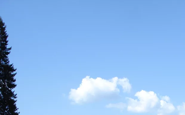 Екранна снимка от форума