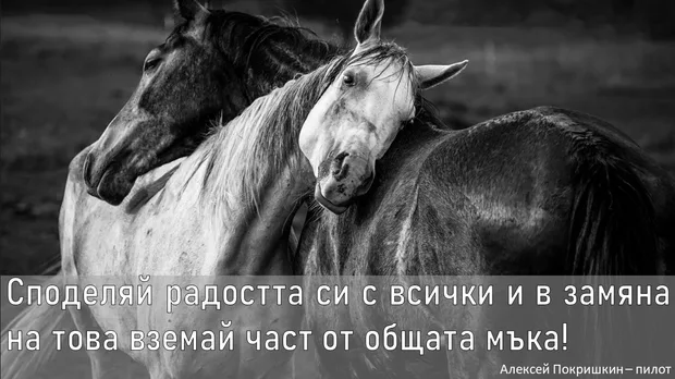 Екранна снимка от форума