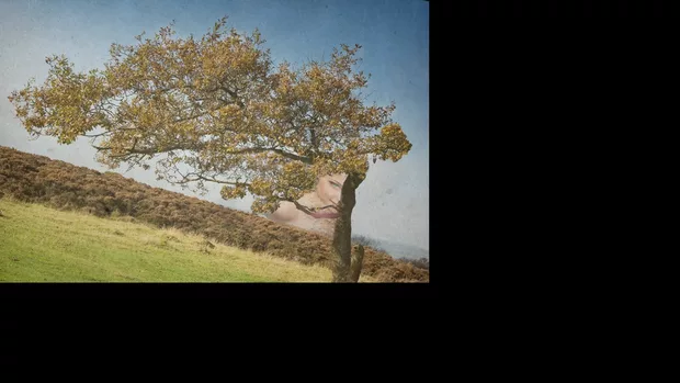 Екранна снимка от форума