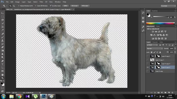 Екранна снимка към: Как да приложа успешно маската, така че да я виждам в черо и бяло?