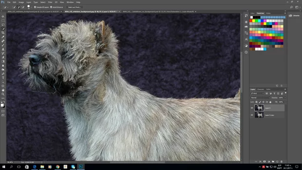 Екранна снимка към: Как трябва да работя с Refine edge  във Фотошоп СС 2017?