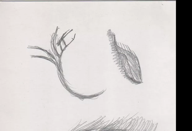 Екранна снимка към: Може ли да споделя своя вариант?