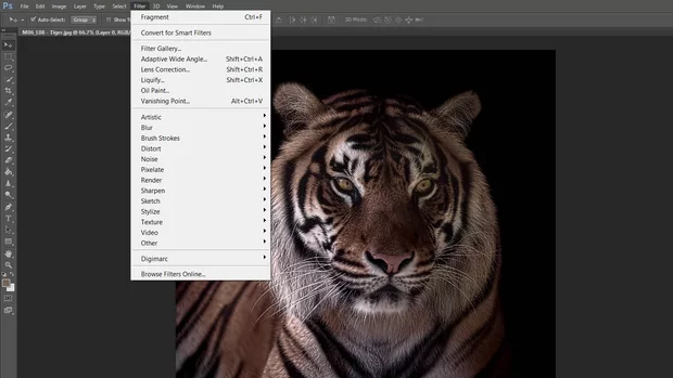 Екранна снимка към: Защо нямам такъв филтър? С CS6 съм ... 