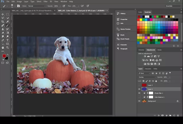 Екранна снимка от форума