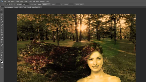 Екранна снимка към: Може ли да използвам други файлове?