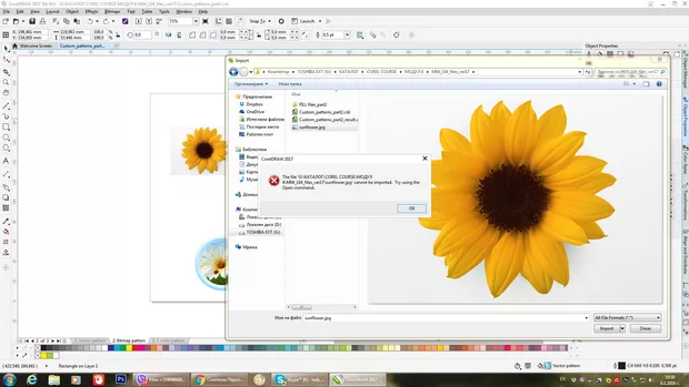 Екранна снимка към: Защо не мога да импортирам растерно изображение от файл? Версия 19? Опитах и с други изображения, но дава приложеното съобщение?